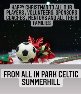 Read more about the article Happy Christmas from all in Park Celtic Summerhill